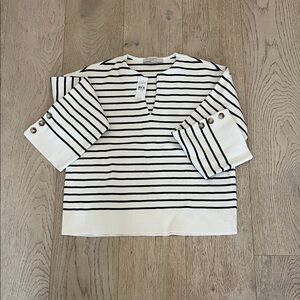 Ann Taylor Loft sweater